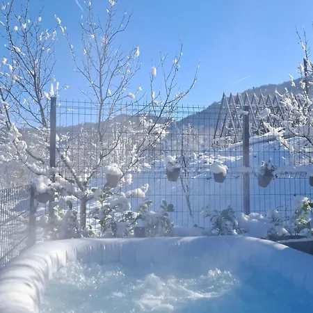 Stone - Terra * يايتشه